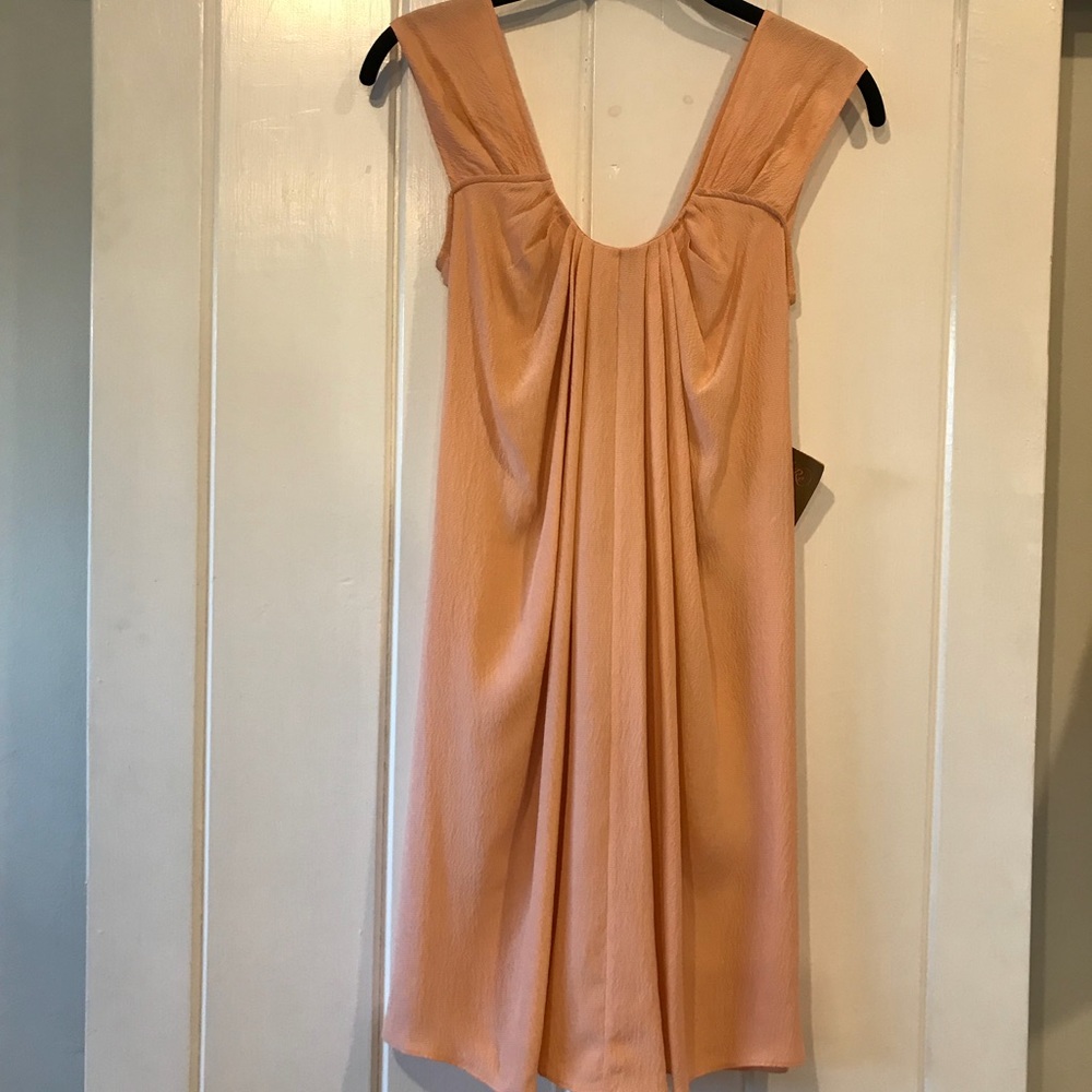 NEW! Ali Ro peach silk dress